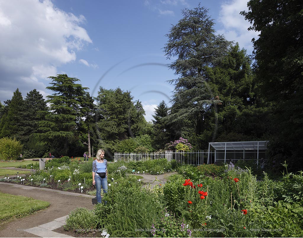 Koeln Riehl, Blick auf die Flora im Park mit einer Besucherin im Sommer; Koeln Riehl, view at the flora in the park with a visitor in summer