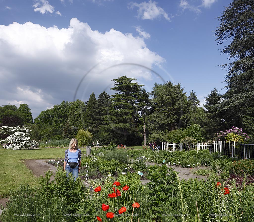 Koeln Riehl, Blick auf die Flora im Park mit einer Besucherin im Sommer; Koeln Riehl, view at the flora in the park with a visitor in summer