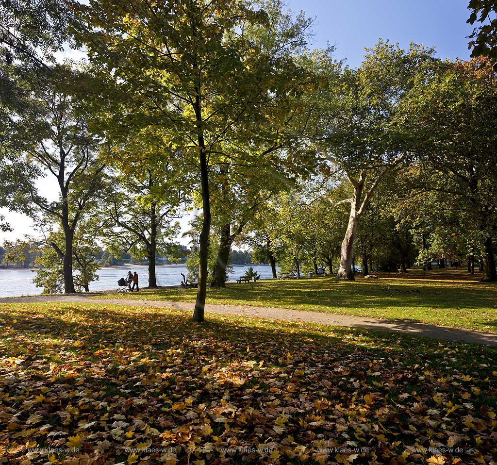 Koeln-Stammheim Herbststimmung im Stammheimer Schlosspark mit Blick zum Rhein und Personen mit Kinderwagen; Cologne autum atmosphere in the park of Stammheim castle with view to the Rhine river