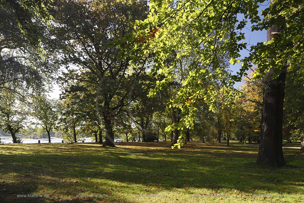 Koeln-Stammheim Herbststimmung im Stammheimer Schlosspark mit Blick zum Rhein; Cologne autum atmosphere in the park of Stammheim castle