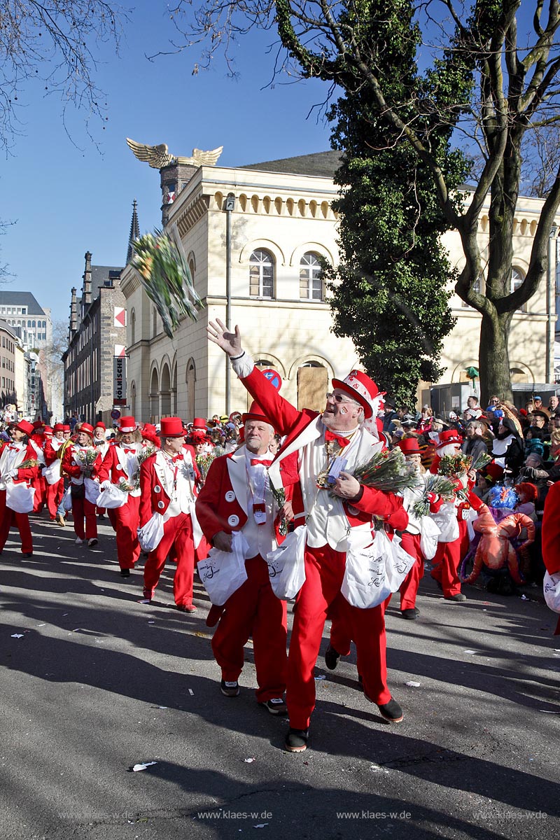 Koeln Altstadt,  Rosenmontag Rosenmontagszug "Loestige Innenstaedter 1. Kleine KG in der Zeughausstrasse bei strahlend blauem Himme, Blumenstrauss fliegt durch die Luftl; Cologne Carnival