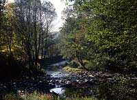 Sassmannshausen, Bad Laasphe, Kreis Siegen-Wittgenstein, Siegerland, Blick auf Lahnlauf in Wäldern, Waeldern