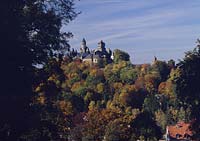 Braunfels, Blick auf Schloss und Herbstwald, Lahn-Dill-Kreis, Hessen, Westerwald