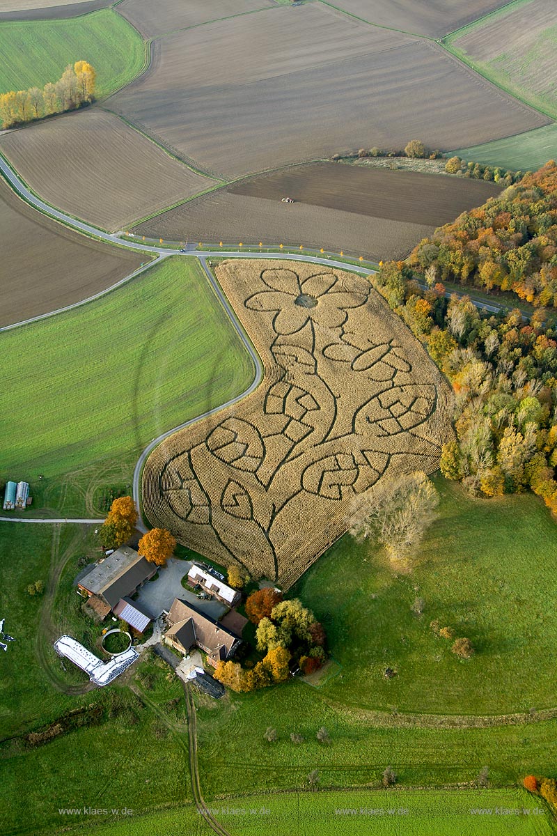 Cappenberg , Luenen