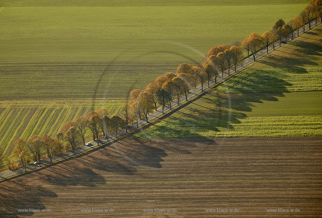 DEU, Deutschland, Luftbildfotografie, Ruhrgebiet: Datteln, Ahsener Strasse, Allee und Felder | DEU, Germany, aerial photography, Ruhr area, Datteln, fields and parkway | [Copyright by Holger Klaes - Verwendung nur gegen Honorar und Belegexemplar - Werbliche Nutzung nur nach schriftlicher Freigabe - Es gelten ausschliesslich meine AGB - Tel. +49(0)2196 88 34 38, Fax 88 34 39, post@klaes-w.de, Holger Klaes, Postfach 50 15 21, 42929 Wermelskirchen - http://www.klaes-w.de Bankverbindung: Kto-Nr.: 568174701 BLZ 33070024, Deutsche Bank PGK AG Wuppertal]