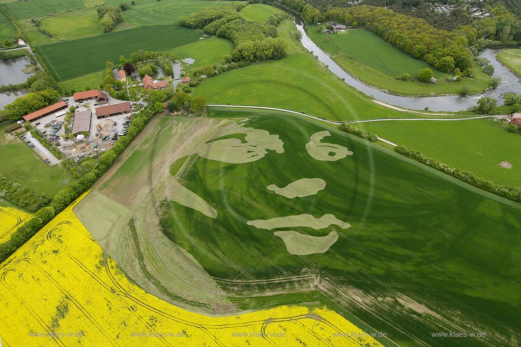 Luftbild, Haus Vogelsang Portrait im Feld, Datteln-Ahsen, Ruhrgebiet, Nordrhein-Westfalen, Deutschland, Europa