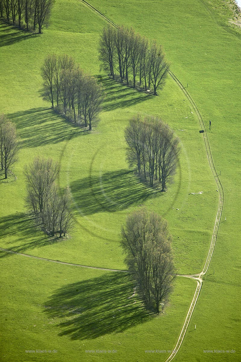DEU, Deutschland, Luftbildfotografie, Ruhrgebiet, Duisburg, Rheinauen, Schattenspiel mit Baeumen, Moerser Grinden | DEU, Germany, aerial picture photography, ruhr area, Duisburg, trees with shadow |