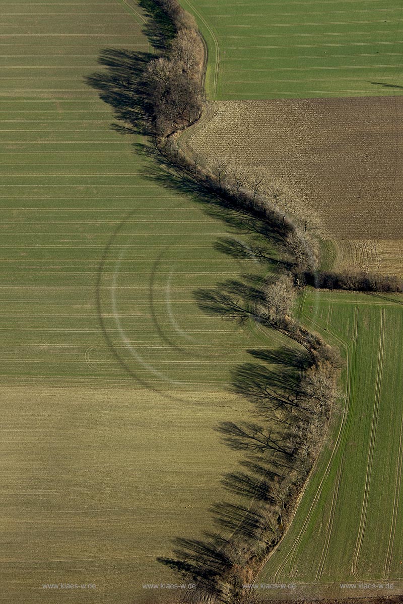 Deutschland, DEU: Hamm, Feldrandhecken in Wiescherhoefen | DEU, Germany: Hamm, hedges |