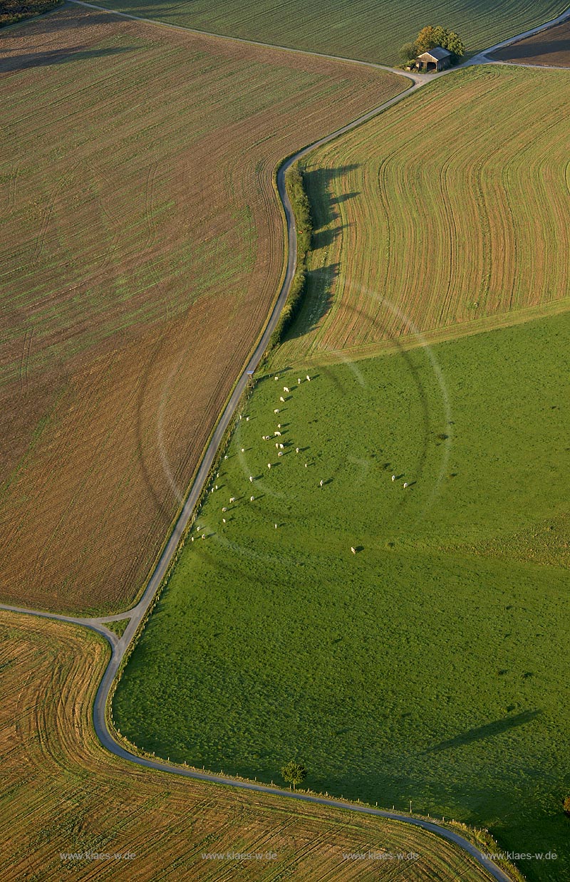 DEU, Deutschland, Nordrhein-Westfalen: Meschede-Buchholz. | DEU, Germany, North Rhine-Westphalia: landscape, Meschede-Buchholz. 