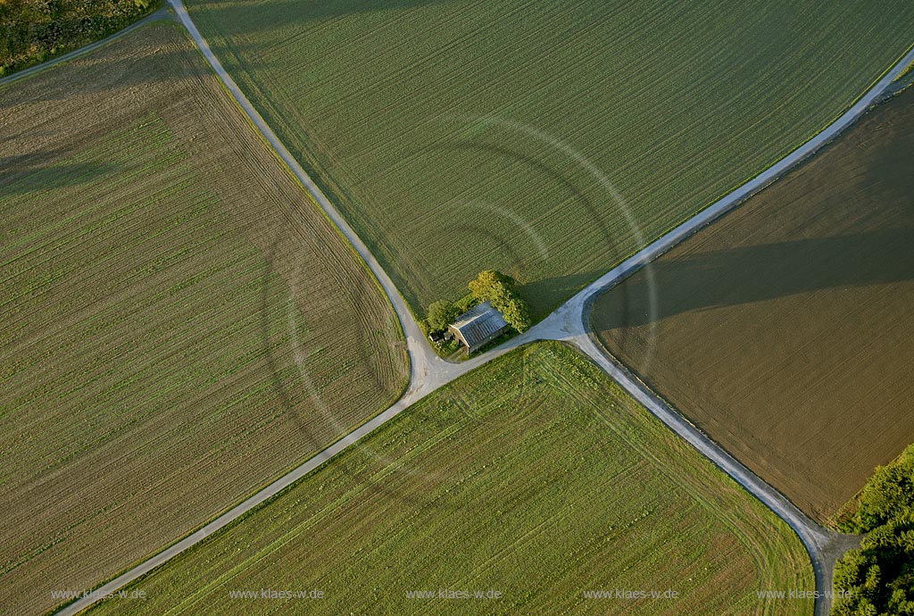DEU, Deutschland, Nordrhein-Westfalen: Meschede-Buchholz. | DEU, Germany, North Rhine-Westphalia: landscape, Meschede-Buchholz. 
