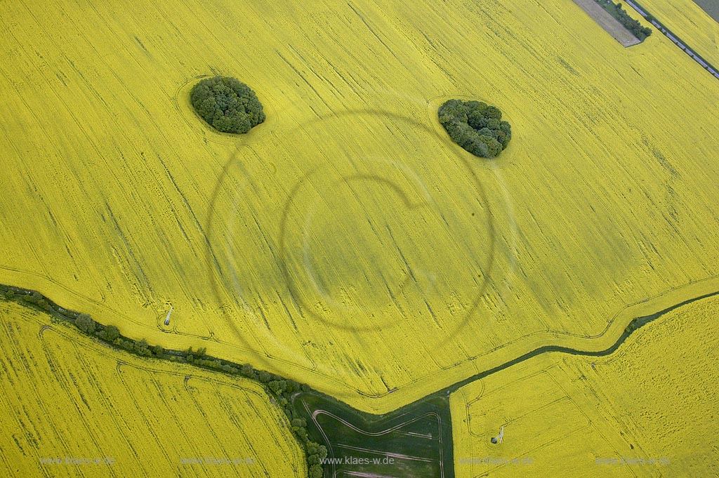 DEU, Deutschland, Luftbildfotografie: Thueringen, Muehlhausen, Rapsfelder in der Bluete | DEU, Germany, aerial photography: Thuringia, Muelhausen, rape field in blossom |