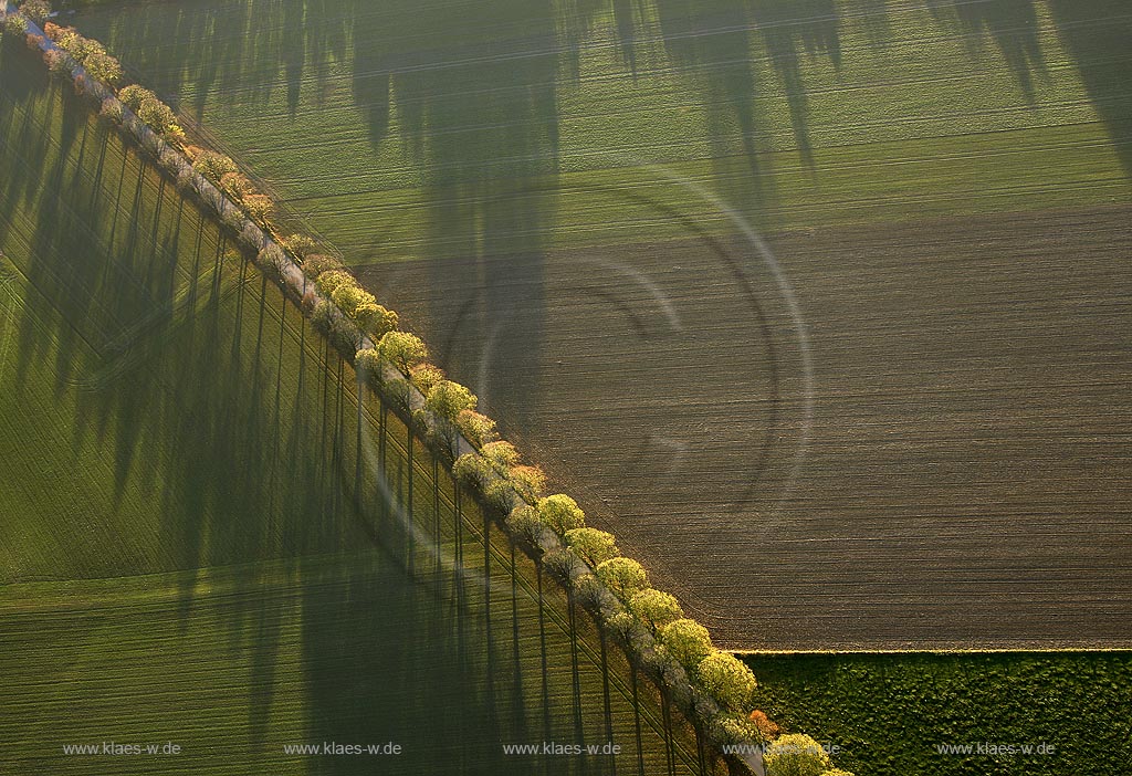 Luftbild, Landstrae mit Feldern, Schatten und Bumen, Werl,  Kreis Soest, Soester Brde, Sdwestfalen, NRW, Nordrhein-Westfalen, Deutschland, Europa | DEU, Germany, North Rhine-Westphalia: country road, Werl. | 