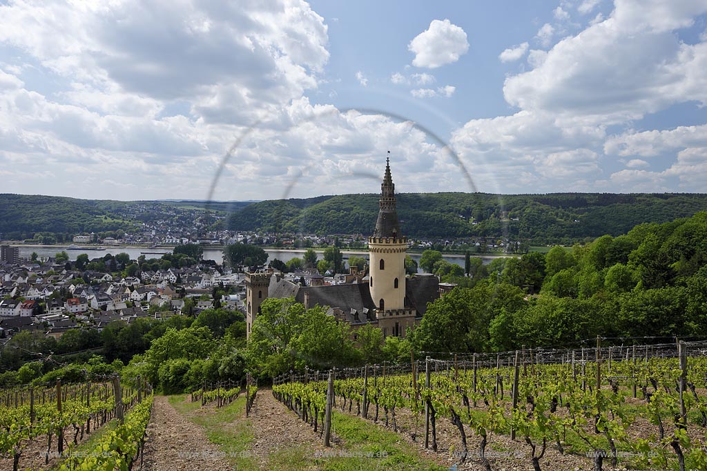 Bad Hoenningen, Blick auf Stadt mit Rhein ueber Weinberg mit Schloss Arenfels, frueher auch Schloss Arienfels genannt, eine Schlossanlage oberhalb von Bad Hoenningen in Rheinland-Pfalz, die auf eine mittelalterliche Burg aus dem 13. Jahrhundert zuueckgeht. Das Schloss erhielt seine heutige uere Gestalt in der Zeit von 1849 bis 1855, waehrend der es unter der Leitung des Koelner Dombaumeisters Ernst Friedrich Zwirner im Stil der Neugotik umfassend veraendert wurde. Aufgrund seiner 365 Fenster, 52 Tren und zwlf Tuerme erhielt es den Beinamen Schloss des Jahres"; Bad Hoenningen, view tothe town with rhine, vineyard with castle Arenfels