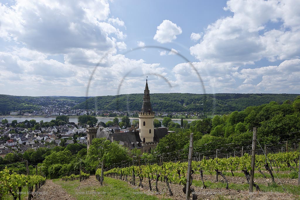 Bad Hoenningen, Blick auf Stadt mit Rhein ueber Weinberg mit Schloss Arenfels, frueher auch Schloss Arienfels genannt, eine Schlossanlage oberhalb von Bad Hoenningen in Rheinland-Pfalz, die auf eine mittelalterliche Burg aus dem 13. Jahrhundert zuueckgeht. Das Schloss erhielt seine heutige uere Gestalt in der Zeit von 1849 bis 1855, waehrend der es unter der Leitung des Koelner Dombaumeisters Ernst Friedrich Zwirner im Stil der Neugotik umfassend veraendert wurde. Aufgrund seiner 365 Fenster, 52 Tren und zwlf Tuerme erhielt es den Beinamen Schloss des Jahres"; Bad Hoenningen, view tothe town with rhine, vineyard with castle Arenfels