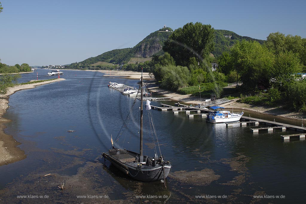 Bad Honnef, Blick ueber Altrhein mit Aalschokker Aranka zum Drachenfels, Siebengebirge. Vor der Grafenwerther Bruecke aus dem Jahr 1912 im Norden befindet sich der 1917 gebaute so genannte Aalschokker Aranka, einer der letzten Aalschokker auf dem Rhein, der bis 1990 im Einsatz war. 1989 wurde dieser von der Nordrhein-Westfalen-Stiftung gekauft und restauriert. Nach dem Einstellen der Nutzung als Fischerboot befindet er sich zwischen dem Festland und der Insel; mit dem Drachenfels im Hintergrund und dem oestlich des Aalschokkers liegenden Jachthafen ist er zu einem beliebten Fotomotiv und einem Wahrzeichen von Bad Honnef geworden; Bad Honnef, view over Oldrhine with fishingboat Aranka