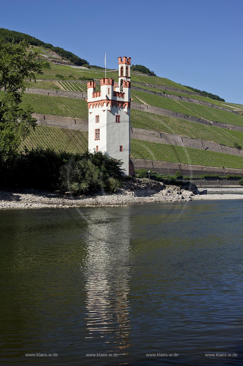 Bingen, Maeuseturm im Rhein bei Niedrigwasser mit Spiegelbild; Bingen, Maeuseturm in Rhine at low water and reflection.