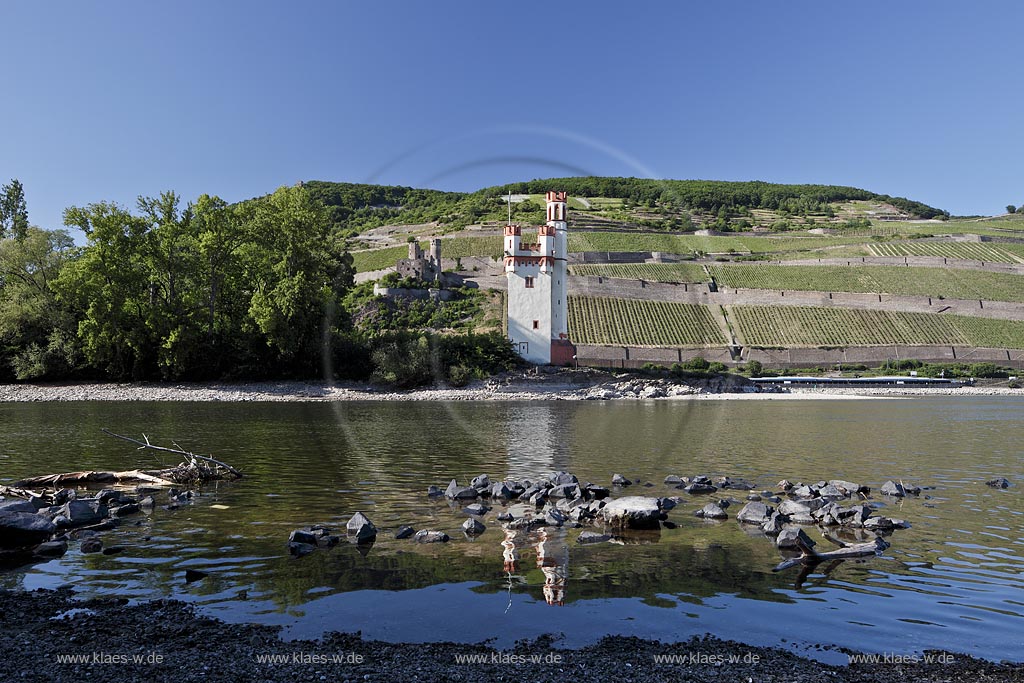 Bingen, Mauseturm im Rhein bei Niedrigwasser mit Spiegelbild, im Hintergrund Ruine Ehrenfels, Ruedesheim; Bingen, Maeuseturm in Rhine at low water with reflection, in background ruin Ehrenfels, Ruedesheim.