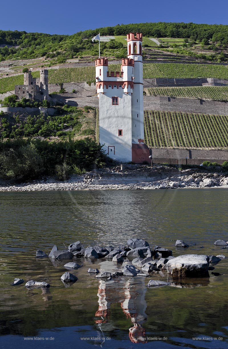 Bingen, Mauseturm im Rhein bei Niedrigwasser mit Spiegelbild, im Hintergrund Ruine Ehrenfels, Ruedesheim; Bingen, Maeuseturm in Rhine at low water with reflection, in background ruin Ehrenfels, Ruedesheim.