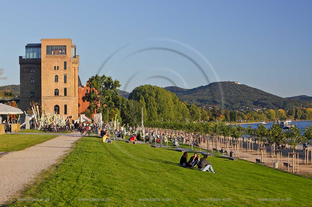 Bonn Rheinufer bei Oberkassel Blick auf Rohmuehle und Spielplatz mit Personen und Promenadenweg mit Rhein und Siebengebirge im Herbst, Bonn Rhine coast at oberkassel with view at Rohmuehle and playground with people and promenade alley with Rhine and Siebengebirge in autumn