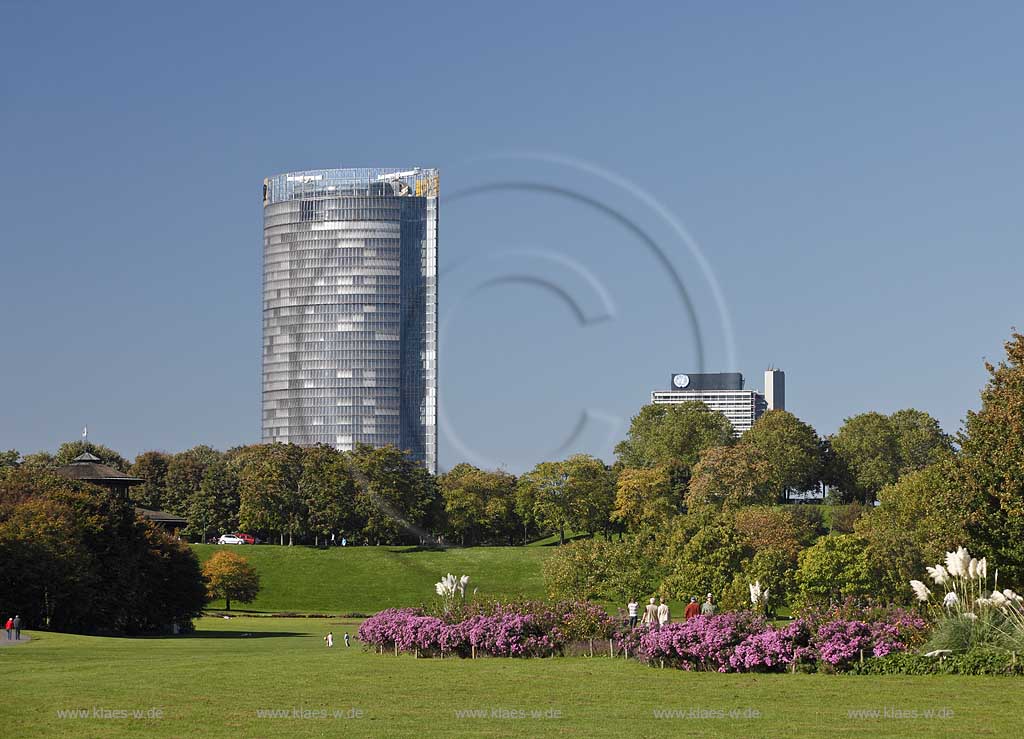 Bonn Blick auf Rheinauenpark mit Personen, Pampasgras und Astern in herbstlicher Vegetation und Post Tower; Bonn view at Rheinauenpark with people, Pampas Grass and astern in autumnal vegetation and Post Tower