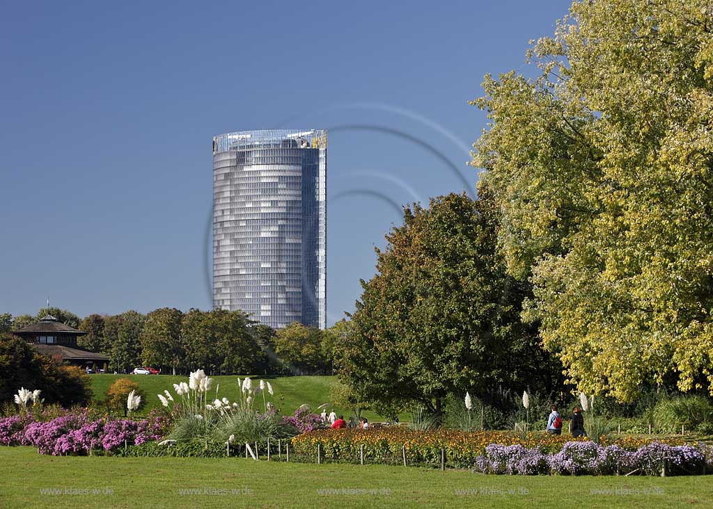 Bonn Blick auf Rheinauenpark mit Personen, Pampasgras und Astern in herbstlicher Vegetation und Post Tower; Bonn view at Rheinauenpark with people, Pampas Grass and astern in autumnal vegetation and Post Tower