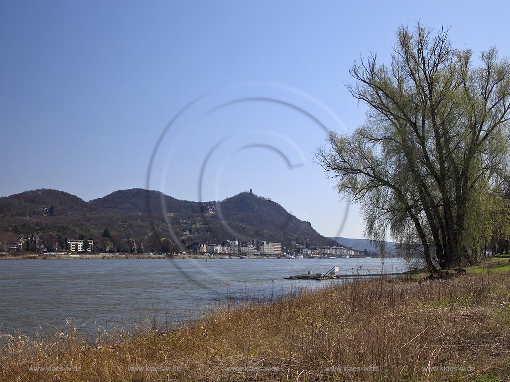 Bonn Ruengsdorf, Blick ueber den Rhein mit Weiden auf Koenigswinter mit der Drachenburg und dem Drachenfels im Fruehling; Bonn Ruengersdorf view over rhine river to Koenigswinter with castle Drachenburg and ruin Drachenfels in springtime