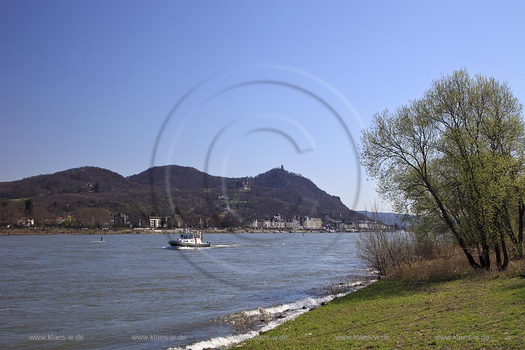 Bonn Ruengsdorf, Blick ueber den Rhein mit Weiden auf Koenigswinter mit der Drachenburg und dem Drachenfels im Fruehling; Bonn Ruengersdorf view over rhine river to Koenigswinter with castle Drachenburg and ruin Drachenfels in springtime