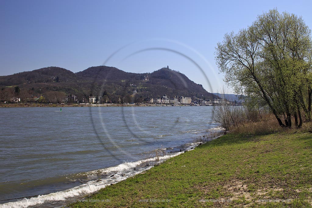 Bonn Ruengsdorf, Blick ueber den Rhein mit Weiden auf Koenigswinter mit der Drachenburg und dem Drachenfels im Fruehling; Bonn Ruengersdorf view over rhine river to Koenigswinter with castle Drachenburg and ruin Drachenfels in springtime