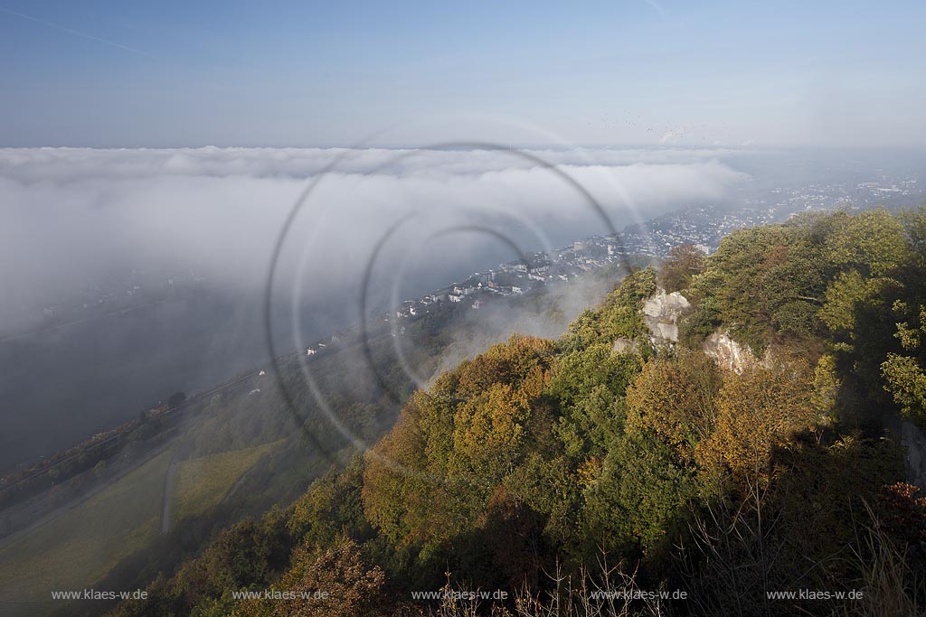 Koenigswinter, Blick vom Drachenfels ins Rheintal mit Nebelmeer, Herbststimmung; Koenigswinter, view from Drachenfels onto Rhine valley with sea of fog in atmospheric autum light