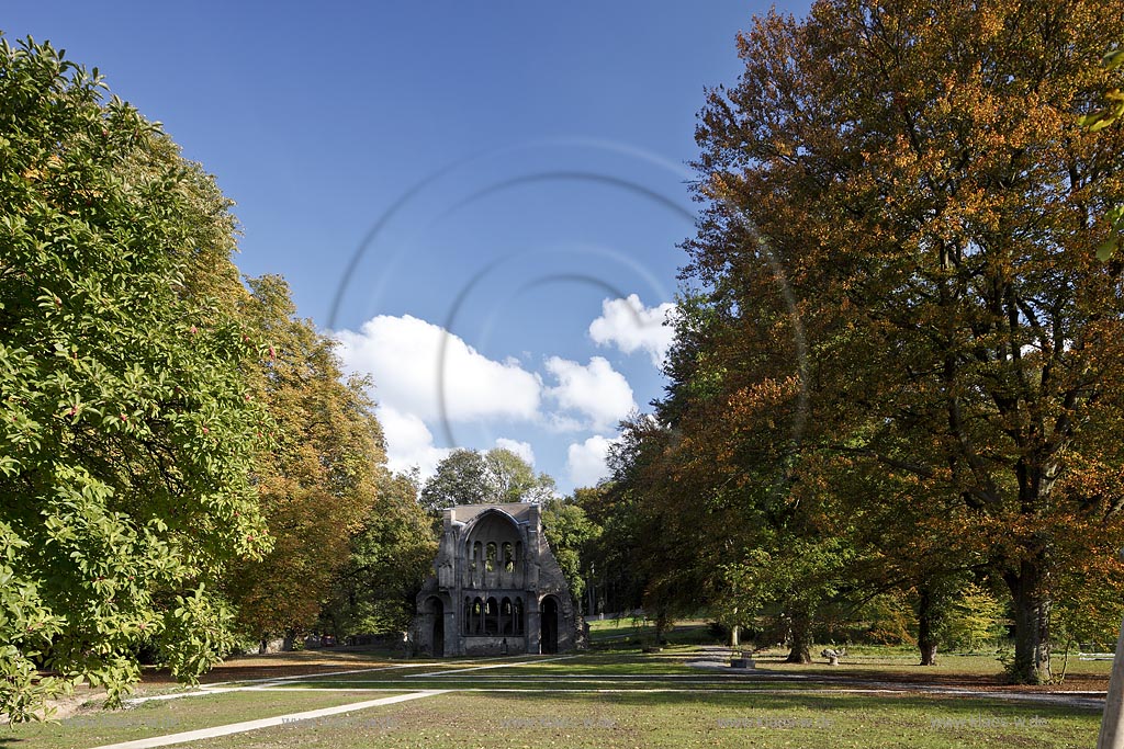 Koenigswinter, die Klosterruine Heisterbach ist eine ehemalige Zisterzienserabtei im Siebengebirge. Sie liegt im Heisterbachtal zwischen Oberdollendorf und Heisterbacherrott im Stadtgebiet von Koenigswinter, Ansicht mit herbstlicher Parklandschaft und Blick in die Chorruine; Koenigswinter, view with autumn park landscape the choir of cloister ruin abbey Heisterbach.