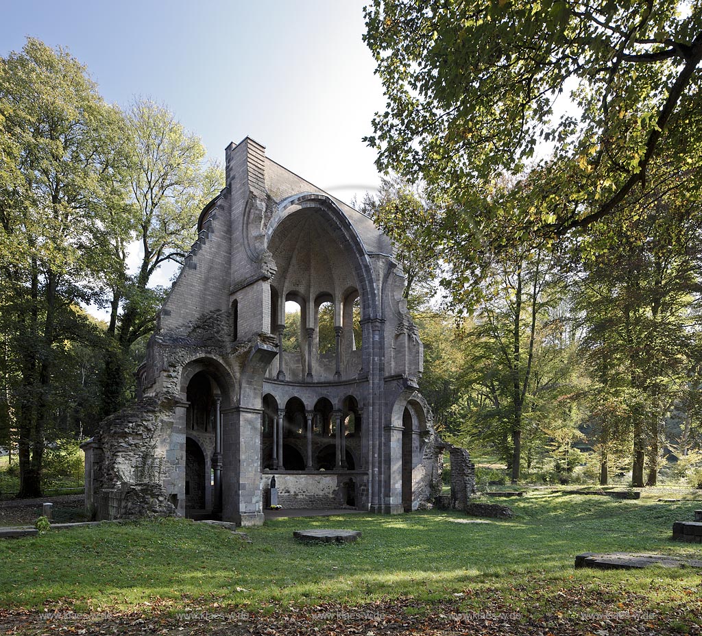 Koenigswinter, die Klosterruine Heisterbach ist eine ehemalige Zisterzienserabtei im Siebengebirge. Sie liegt im Heisterbachtal zwischen Oberdollendorf und Heisterbacherrott im Stadtgebiet von Koenigswinter, Blick in die Chorruine, Innenansicht des Chor; Koenigswinter, view into the choir of cloister ruin abbey Heisterbach.