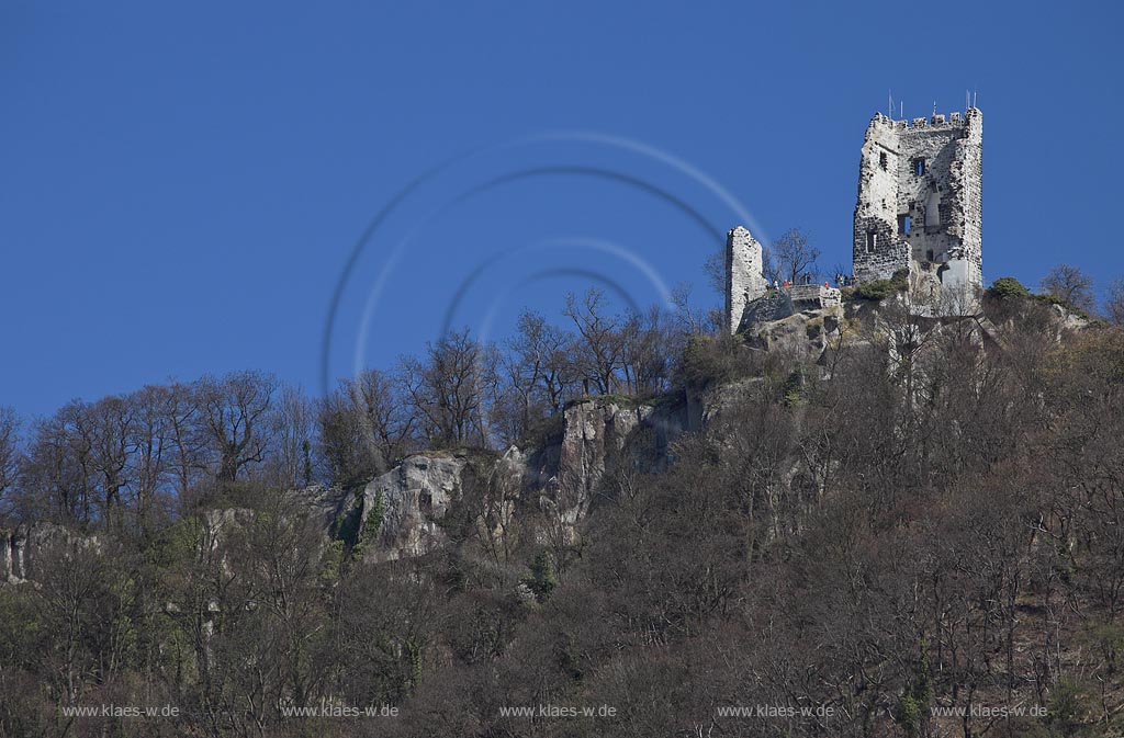 Koenigswinter Teleansicht auf die Ruine Drachenfels mit Besuchern,Touristen im Fruehling mit kahlen Baeumen; Koenigswinter telephoto view to ruin Drachenfels with tourists in springtime