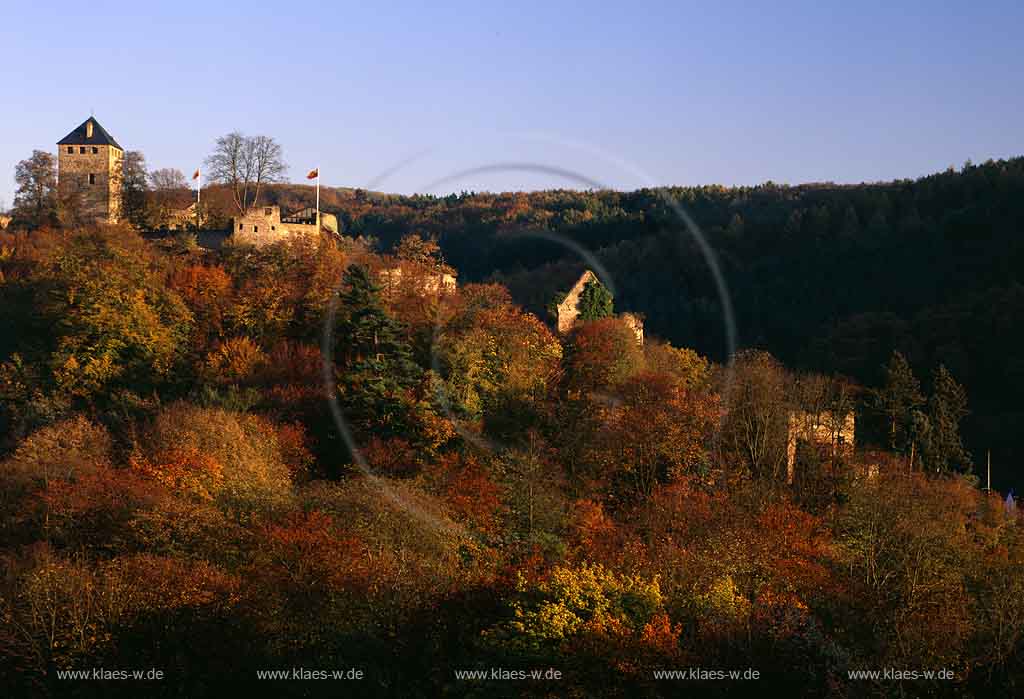 Sayn, Bendorf, Landkreis Mayen-Koblenz, Mittelrhein, Blick auf Burg Sayn mit Schlosskirche in Herbstlandschaft