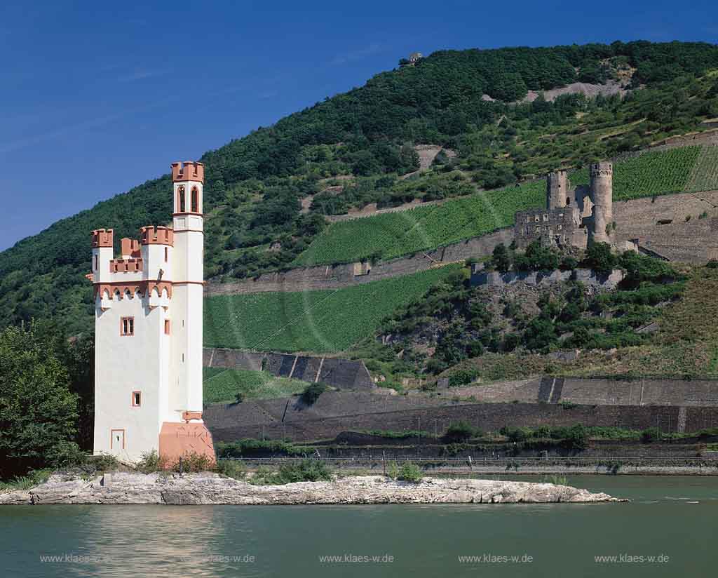 Bingen am Rhein, Landkreis Mainz-Bingen, Mittelrhein, Blick auf Maeuseturm, Museturm in Bingen und Burgruine Ehrenfels in Ruedesheim, Rdesheim 