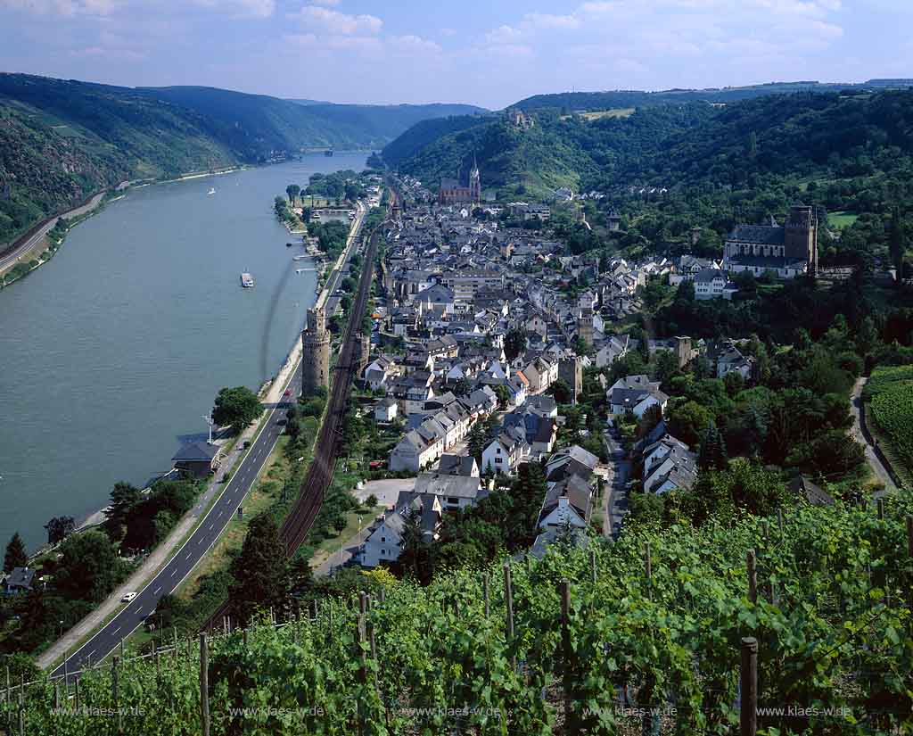 Oberwesel, Rhein-Hunsrck-Kreis, Mittelrhein, Panoramablick, Blick ber, ueber Weinstock auf Stadt, Rhein und Landschaft