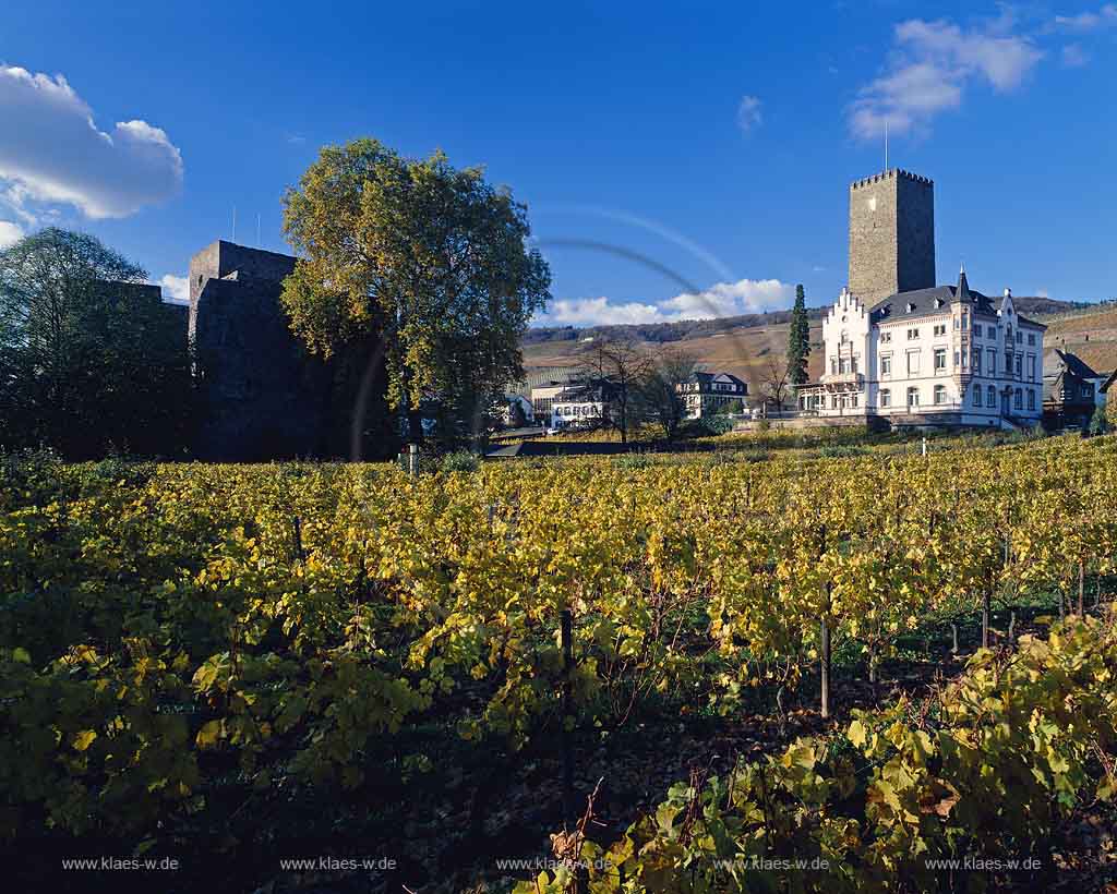 Rdesheim, Ruedesheim am Rhein, Rheingau-Taunus-Kreis, Mittelrhein, Blick ber, ueber Weinreben auf Broemser, Brmser Burg