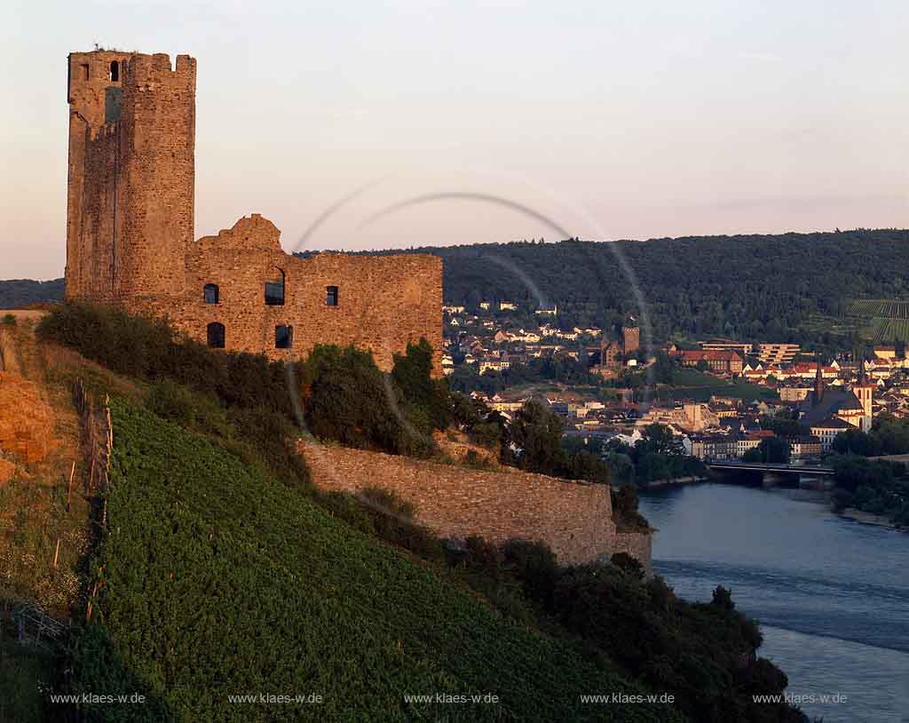 Rdesheim, Ruedesheim am Rhein, Rheingau-Taunus-Kreis, Mittelrhein, Blick auf Burg, Burgruine Ehrenfels, Rhein und Ort im Sommer in Abendstimmung