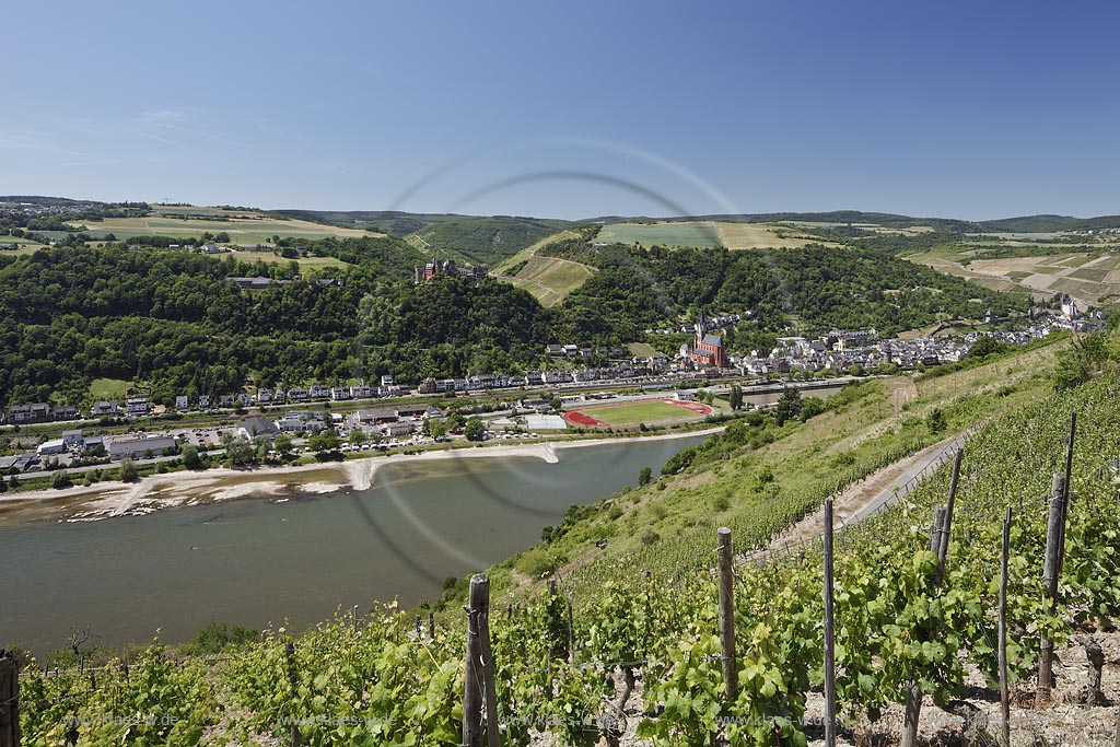 Panoramablick mit Weinberg nach Oberwesel mit Kirche St. Martin, Liebfrauenkirche mit Rhein und Binnenschifffrahrt. Im Hintergrund zu sehen: Kaub, Burg Gutenfels und Grafenstein bei Niedrigwasser;