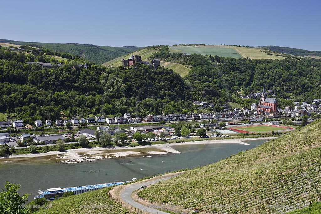 Panoramablick mit Weinberg nach Oberwesel mit Kirche St. Martin, Liebfrauenkirche mit Rhein und Binnenschifffrahrt. Im Hintergrund zu sehen: Kaub, Burg Gutenfels und Grafenstein bei Niedrigwasser; Oberwesel, panorama view witn Oberwesel and church St. Martin, Liebfrauenkirche with Rhine and shipping.