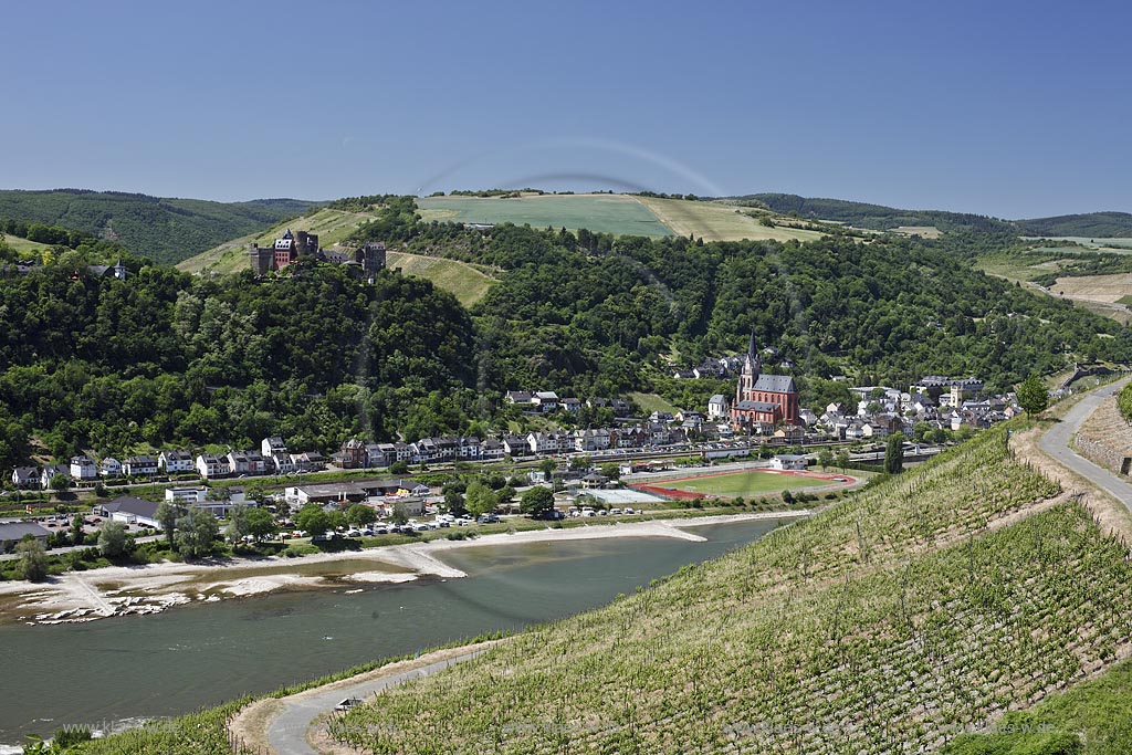 Panoramablick mit Weinberg nach Oberwesel mit Kirche St. Martin, Liebfrauenkirche mit Rhein und Binnenschifffrahrt. Im Hintergrund zu sehen: Kaub, Burg Gutenfels und Grafenstein bei Niedrigwasser; Oberwesel, panorama view witn Oberwesel and church St. Martin, Liebfrauenkirche with Rhine and shipping.