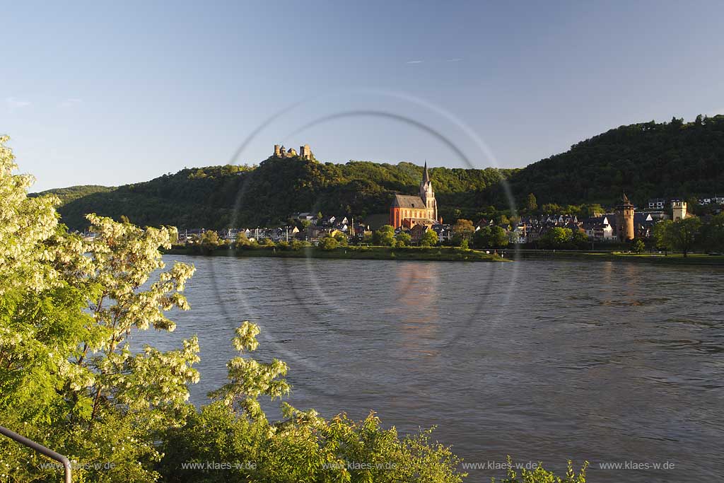 Oberwesel, Blick ueber den Rhein auf Oberwesel in Abendstimmung mit Liebfrauenkirche und Burg Schoenburg; View over Rhiene river to Oberwesel in romantic evening ambiance with Liebfrauen church and castle schoenburg