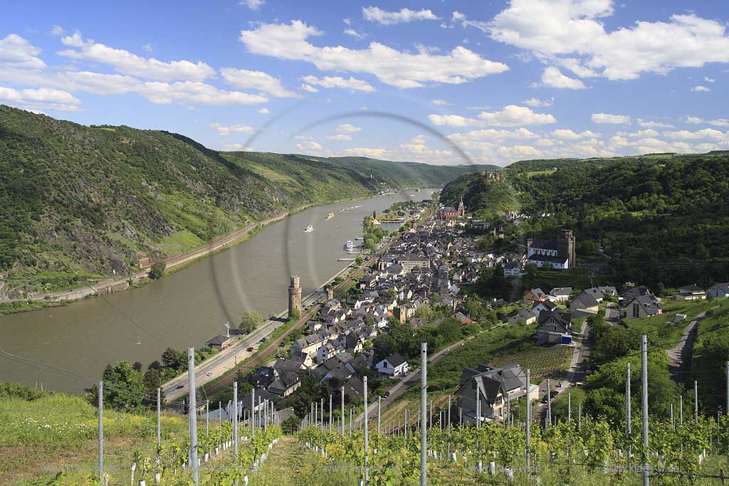 Oberwesel, Blick ueber Weinberg auf die Stadt mit Rhein, Stadtmauer, Martinskirche (vorn), Liebfrauenkirche (hinten) und Burg Schoenburg, im fernen Hintergrund Kaub mit Burg Gutenfels und Pfalzgrafenstein, die Pfalz; View over vineyard  to Oberwesel with Rhine river, Liebfrauen church and castle Schoenburg, in far background Kaub with castle Gutenfels and the Pfalz