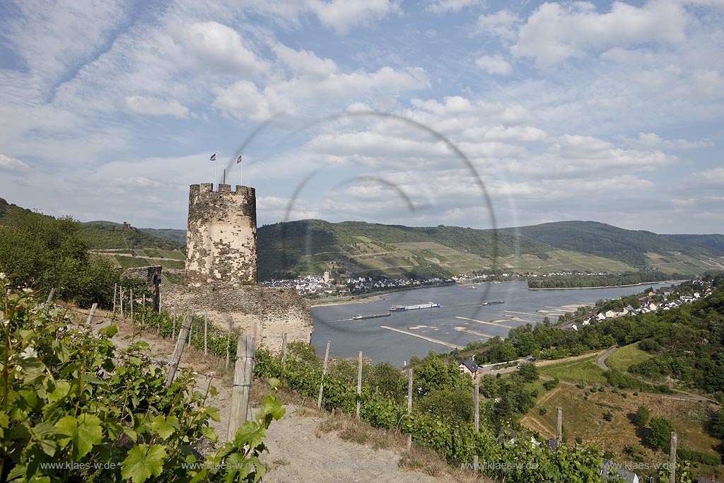 Rheindiebach, Blick vom Weinberg zur Ruine Fuerstenberg und zum Rhein mit Binnenschifffahrt; Rheindiebach, view from a vineyard to sovereign castle and to the Rhine with shipping.