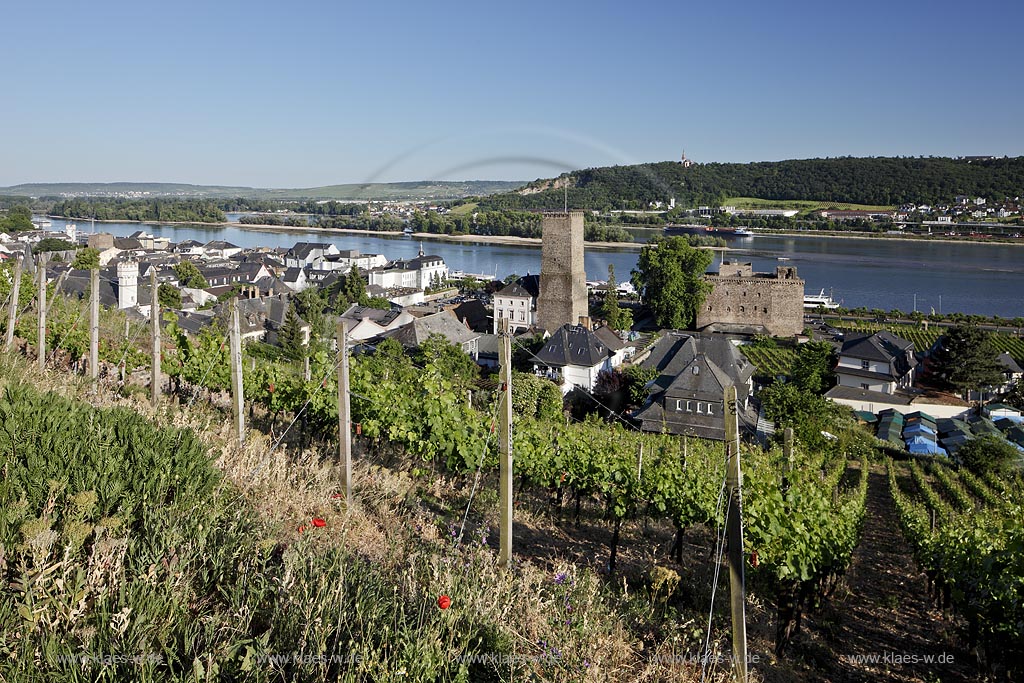 Ruedesheim, Blick auf die Stadt mit Broemserburg und Rhein im Hintergrund: Ruedesheim, view to town with Broemserburg and Rhine in background.