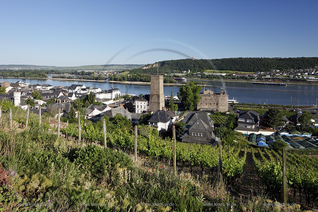 Ruedesheim, Blick auf die Stadt mit Broemserburg und Rhein im Hintergrund: Ruedesheim, view to town with Broemserburg and Rhine in background.