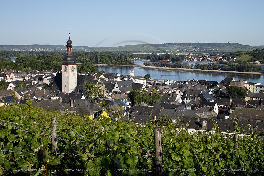 Ruedesheim, Blick vom Weinberg zur Stadt mit St. Jakobus-Pfarrkirche; Ruedesheim, view from vineyard to town with church of St. Jakobus.