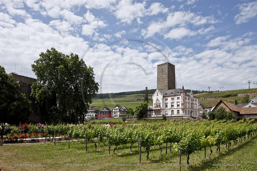 Ruedesheim, Broemserburg; Die Brmserburg (auch Niederburg genannt) liegt in Ruedesheim am Rhein im Rheingau-Taunus-Kreis in Hessen in der Naehe des Rheinufers. Sie gehoert in ihren Urspruengen wohl zu den ersten festen Burgen im UNESCO-Welterbe Oberes Mittelrheintal; Ruedesheim, Broemserburg; Ruedesheim, Broemserburg.