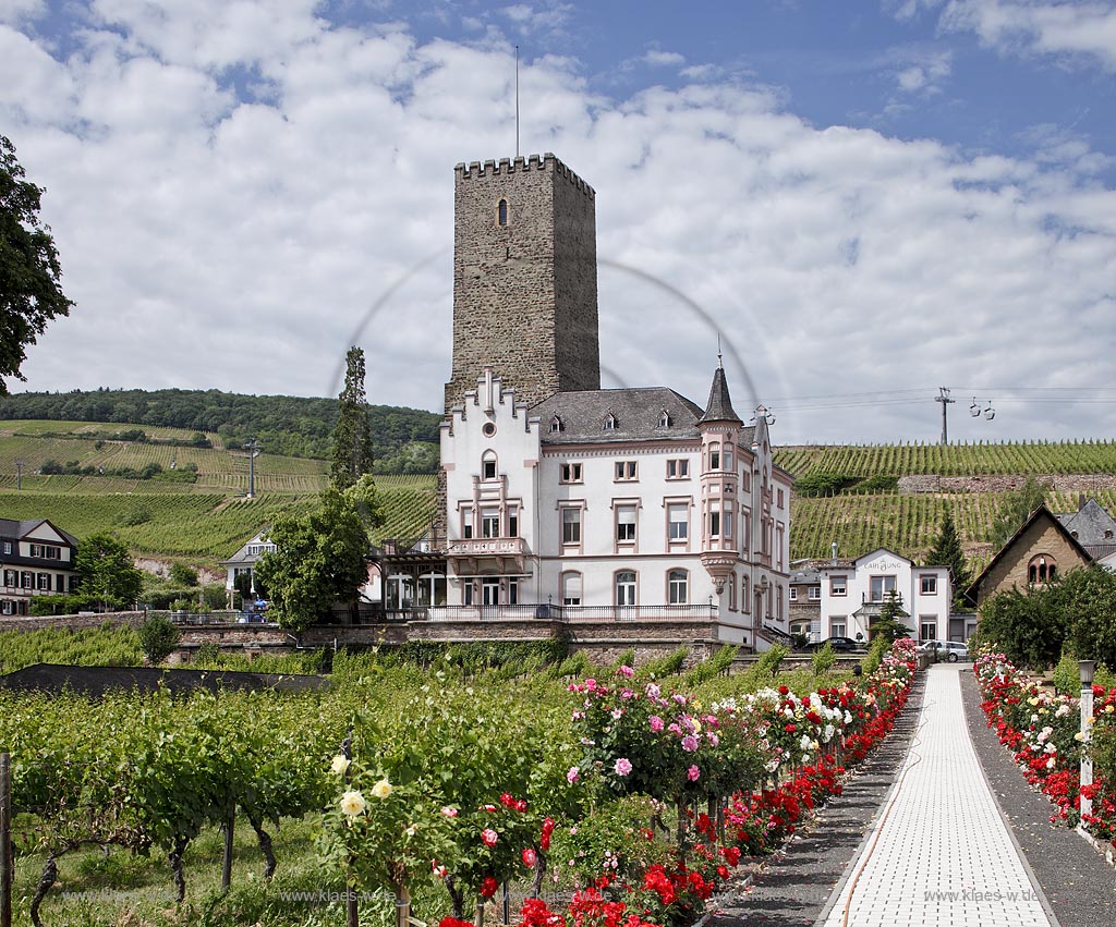 Ruedesheim, Broemserburg; Die Broemserburg (auch Niederburg genannt) liegt in Rdesheim am Rhein im Rheingau-Taunus-Kreis in Hessen in der Naehe des Rheinufers. Sie gehoert in ihren Urspruengen wohl zu den ersten festen Burgen im UNESCO-Welterbe Oberes Mittelrheintal; Ruedesheim, Broemserburg; Ruedesheim, Broemserburg.