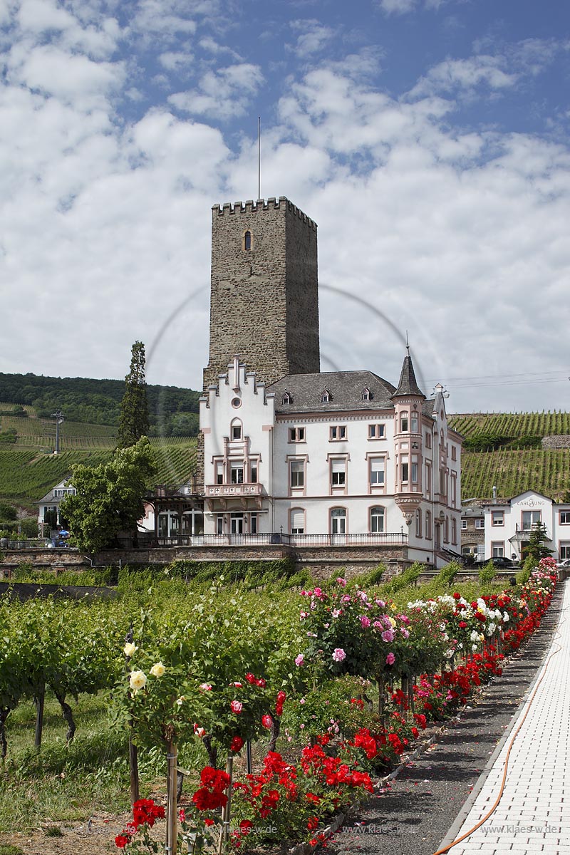 Ruedesheim, Broemserburg; Die Broemserburg (auch Niederburg genannt) liegt in Rdesheim am Rhein im Rheingau-Taunus-Kreis in Hessen in der Naehe des Rheinufers. Sie gehoert in ihren Urspruengen wohl zu den ersten festen Burgen im UNESCO-Welterbe Oberes Mittelrheintal; Ruedesheim, Broemserburg; Ruedesheim, Broemserburg.