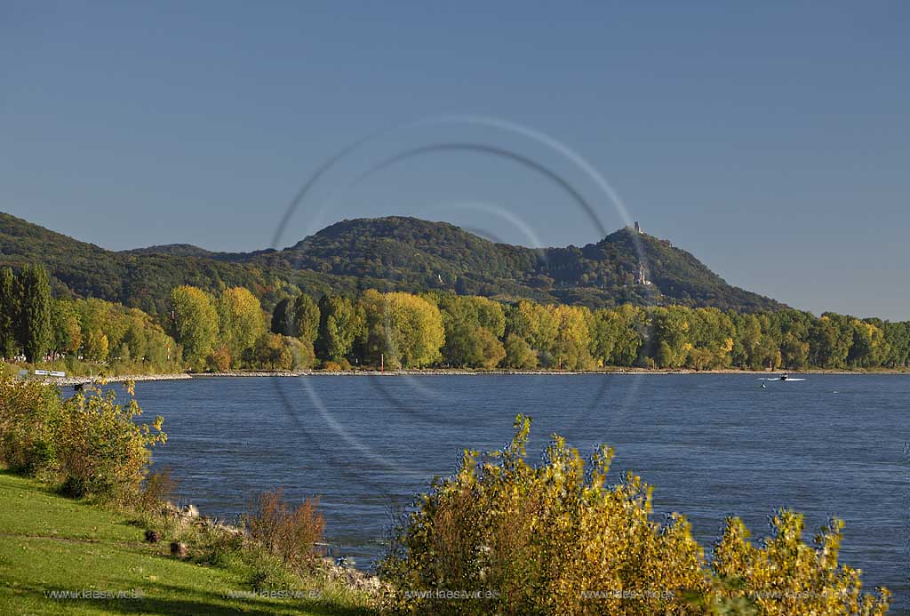 Bonn Rheinpromenade bei Oberkassel mit Blick ueber den Rhein zum Siebengebirge mit Drachenfels und Drachenburg, Rheinpromenade in Herbststimmung; Bonn Rhine promenade at Oberkassel with view over the Rhine to the Siebengebirge with Dragoncliff and Dragoncastle, Rhine promenade in autumn atmosphere